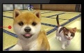 孫娘帰京しました