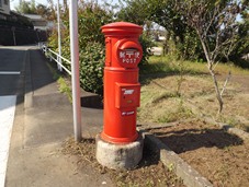 ピカサ編集写真集★1万歩ウォーク景観