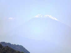 ピカサ編集写真集★1万歩ウォーク景観