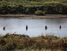 ピカサ編集写真集★1万歩ウォーク景観