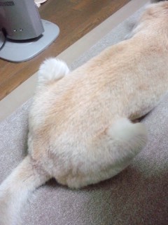 鳥の丸焼き?