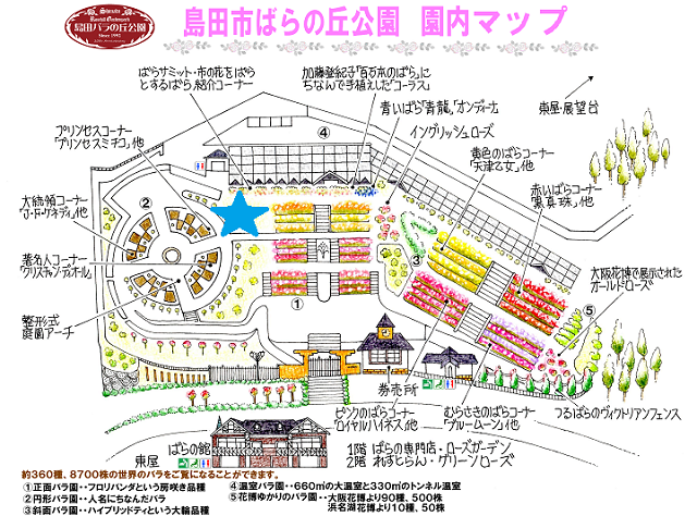 いよいよ明日 ばらの丘公園でワークショップ