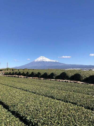 2019年元旦の朝  富士山
