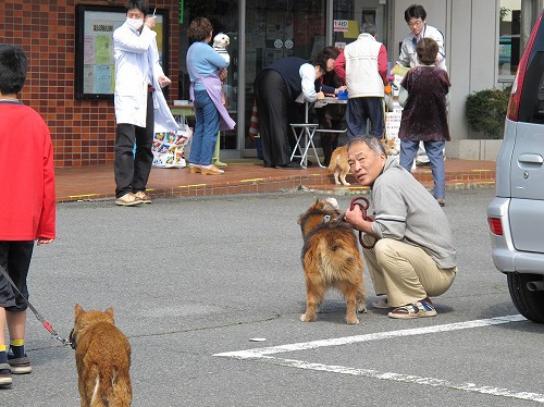 今日は犬の注射の日だった! 今日は犬の注射の日だった!