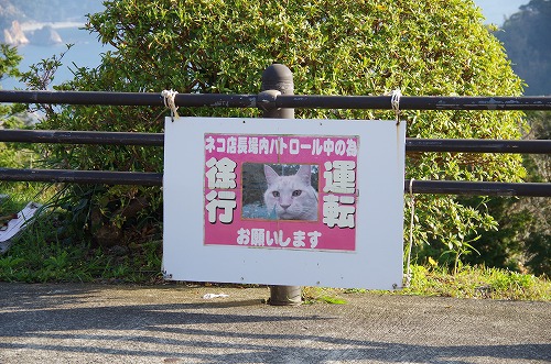 女房と恋人岬に寄りました。 女房と恋人岬に寄りました。