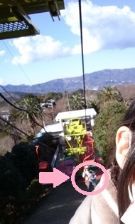 まめつぶ まめつぶ