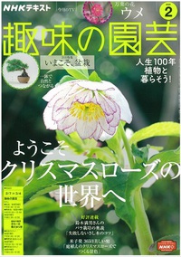 NHKテキスト「趣味の園芸」２月号に掲載されました