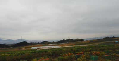 箱根西麓風景 箱根西麓風景