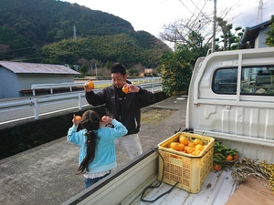 ポンカン採りに来てくれました! ポンカン採りに来てくれました!