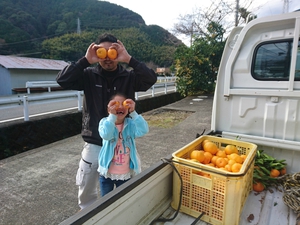 ポンカン採りに来てくれました! ポンカン採りに来てくれました!
