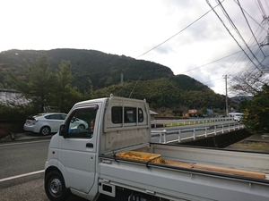 ポンカン採りに来てくれました! ポンカン採りに来てくれました!