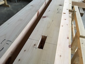 刻み3週目 同じ作業で効率アップ 刻み3週目 同じ作業で効率アップ