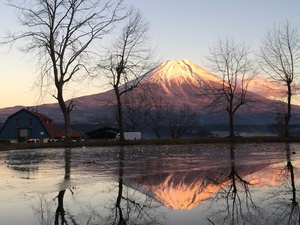 仕事納め 仕事納め