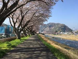 今度は修善寺 今度は修善寺
