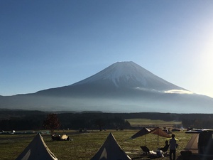 刻み 2週目は1日だけ 刻み 2週目は1日だけ