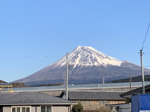 門の柱の入替えしました 門の柱の入替えしました