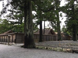 寄り道しながら帰路 寄り道しながら帰路