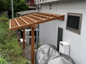 梅雨の合間の晴れ間 梅雨の合間の晴れ間