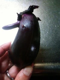 ウソップ