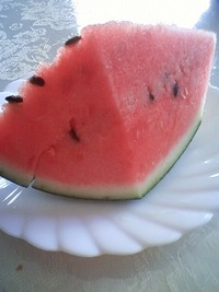 夏と言えば…