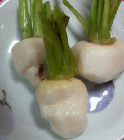 今夜のつまみ!!