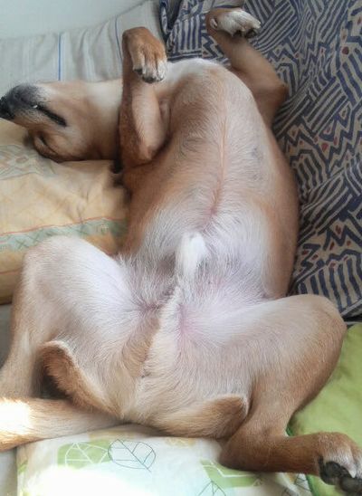 朝から・・こんな・・・