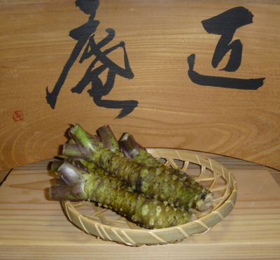 てっちゃん真妻山葵最高