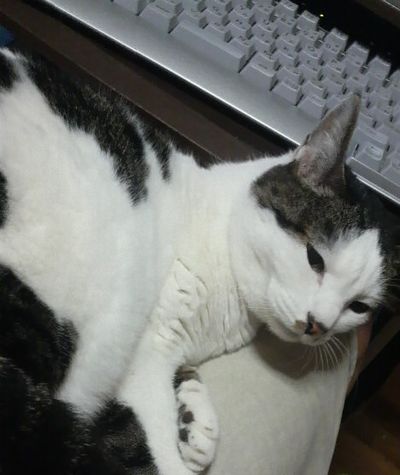 朝から・・こんな・・・