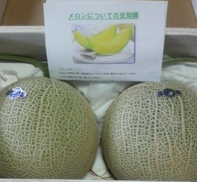 悪徳不動産、社長様・・有り難う御座います!