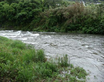 ホームグラウンド狩野川