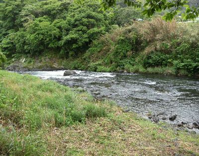 ホームグラウンド狩野川
