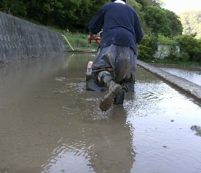 一人農業・田んぼ編