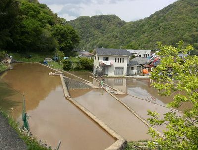 一人農業・田んぼ編