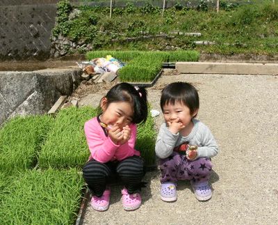 匠ファーム田んぼ編