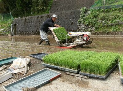匠ファーム田んぼ編