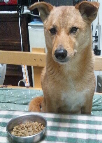 匠のお昼