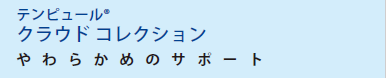 テンピュール3コレクションの選び方。