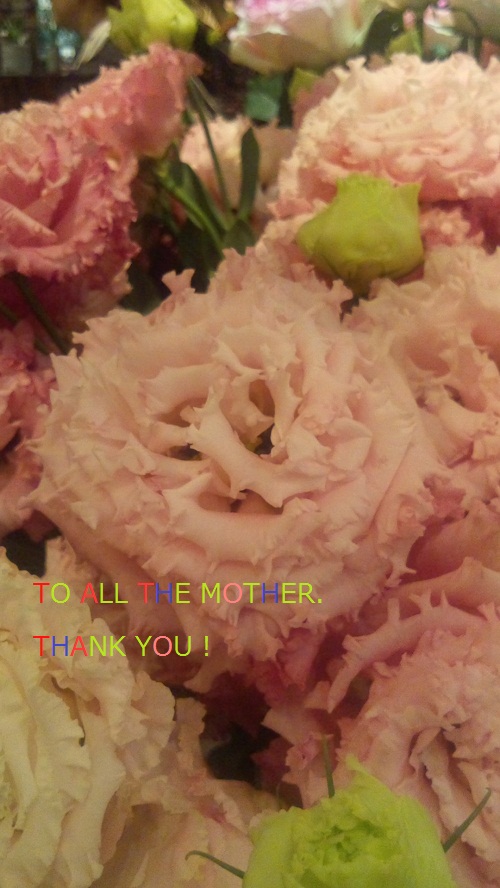 To all the mother 。