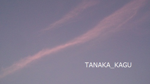 空の龍。