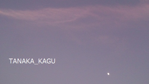 空の龍。