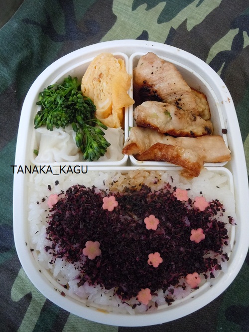 春の愛情弁当。
