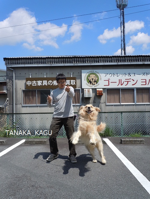 今週のルーカス。
