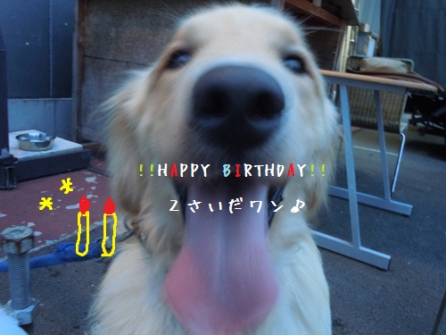 2才になりました!。
