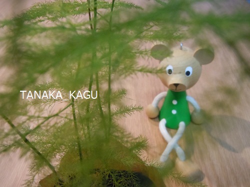木のチカラ。