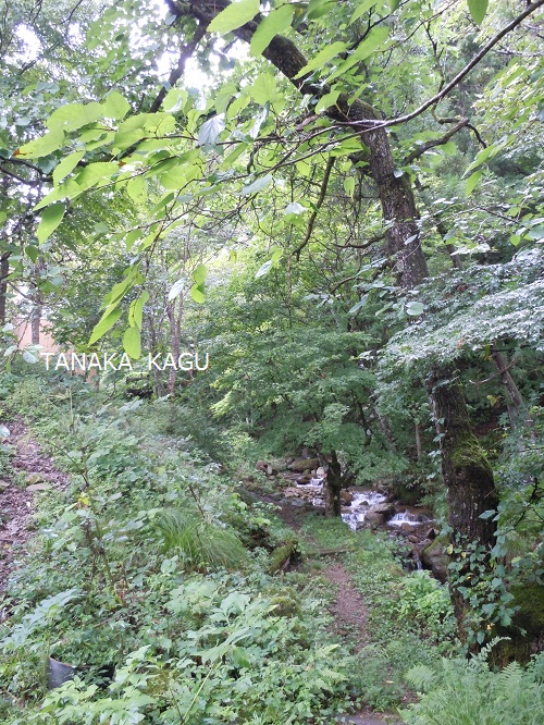 「2012 飛騨・高山 暮らしと家具の祭典」。