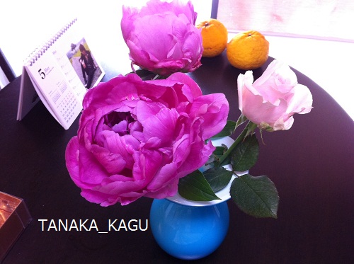 お花の贈り物。