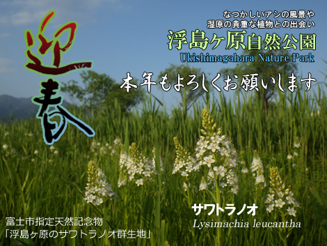新年あけましておめでとうございます 新年あけましておめでとうございます