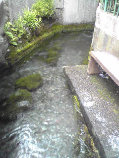 三島のせせらぎ