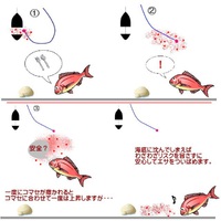 アジのカゴ釣りでロケットタイプにこだわるワケ♪ アジのカゴ釣りでロケットタイプにこだわるワケ♪