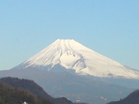 年末のご挨拶m(_ _)m